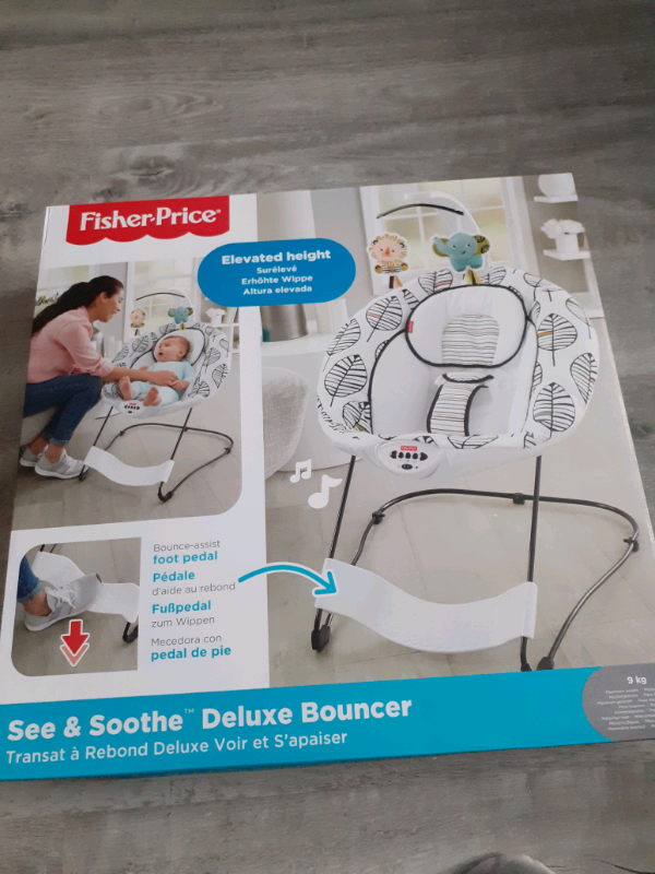 see and soothe bouncer
